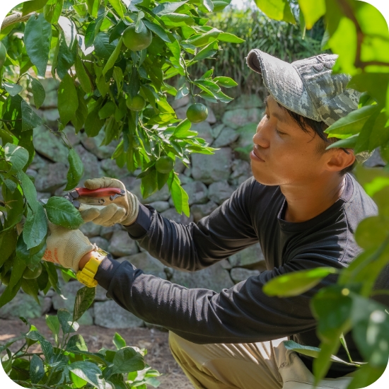 スライダーの写真2